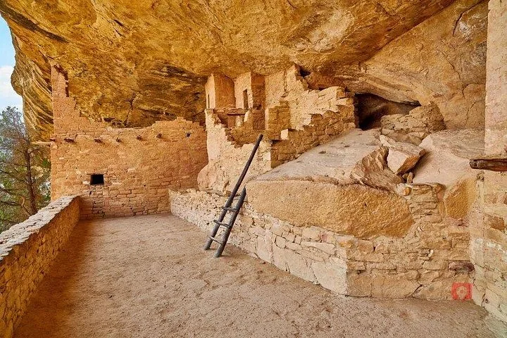 Interior view of an ancient cliff dwelling with a wooden ladder.
